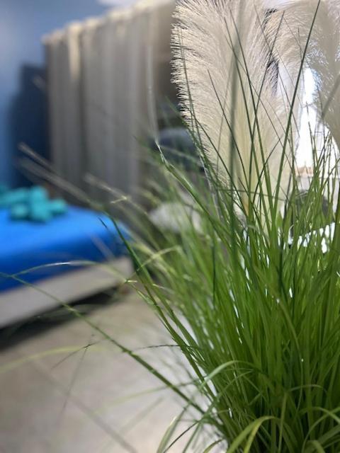 Apartament Atelier Voyageur Chartres Zewnętrze zdjęcie